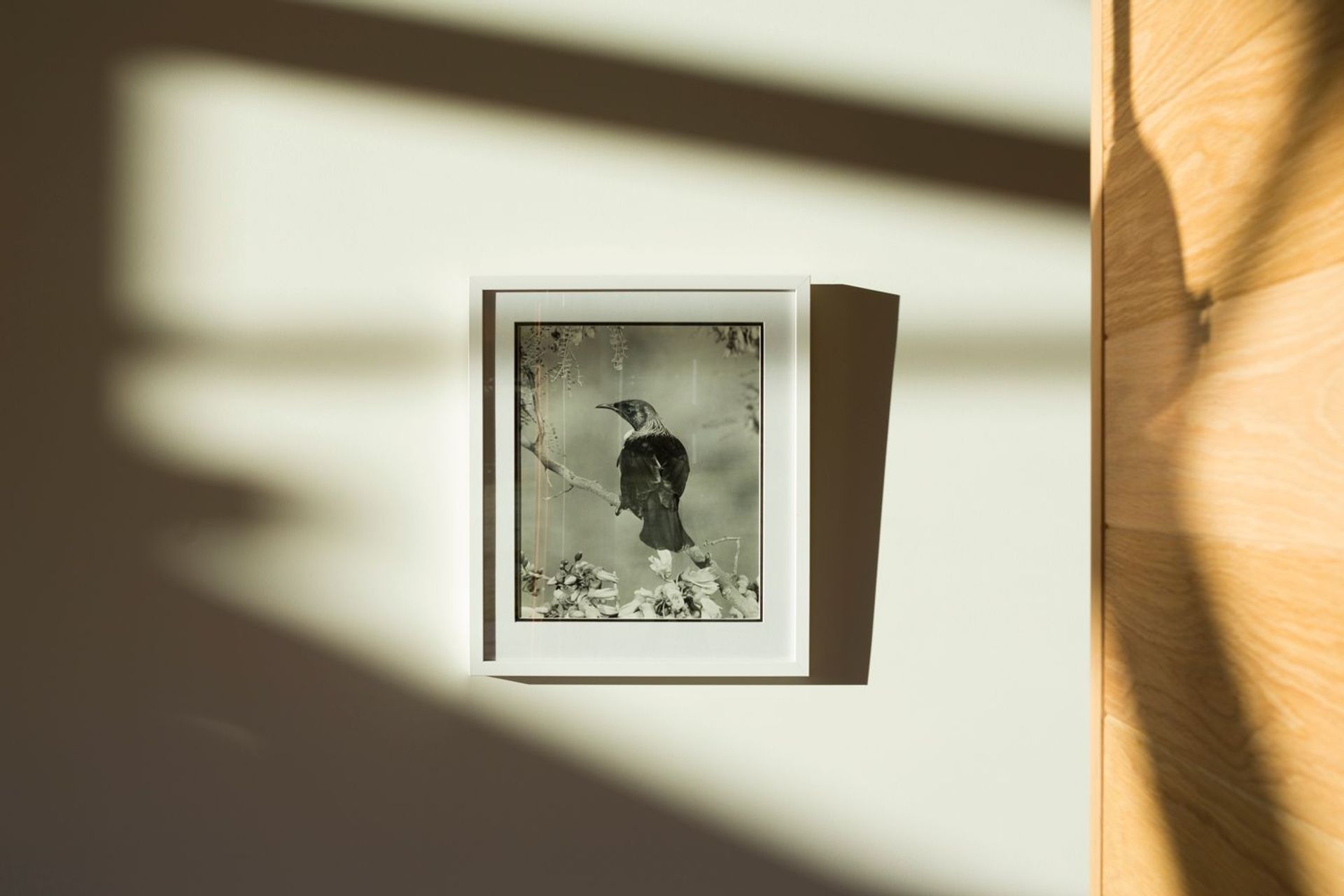 Hawthorn "Contemporary Farm" House