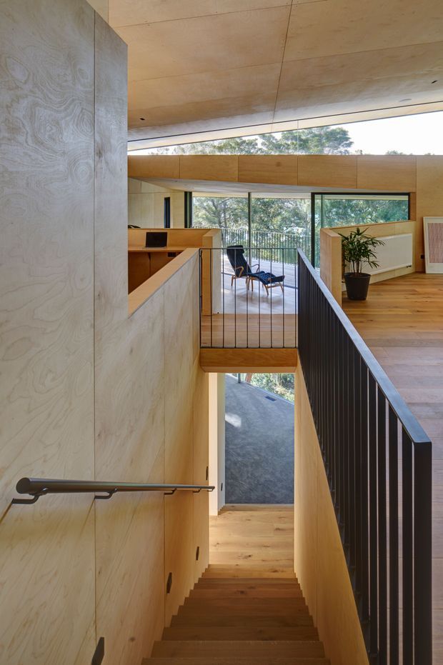 Interior view of a contemporary multi-level home centred on a timber-lined stairway and landing. Pale plywood wall and ceiling panels, warm timber stair treads and flooring, black metal balustrades, and expansive glazing create a clean, natural, light-filled space. A small seating area and greenery are visible on the upper landing, with views to trees beyond.
