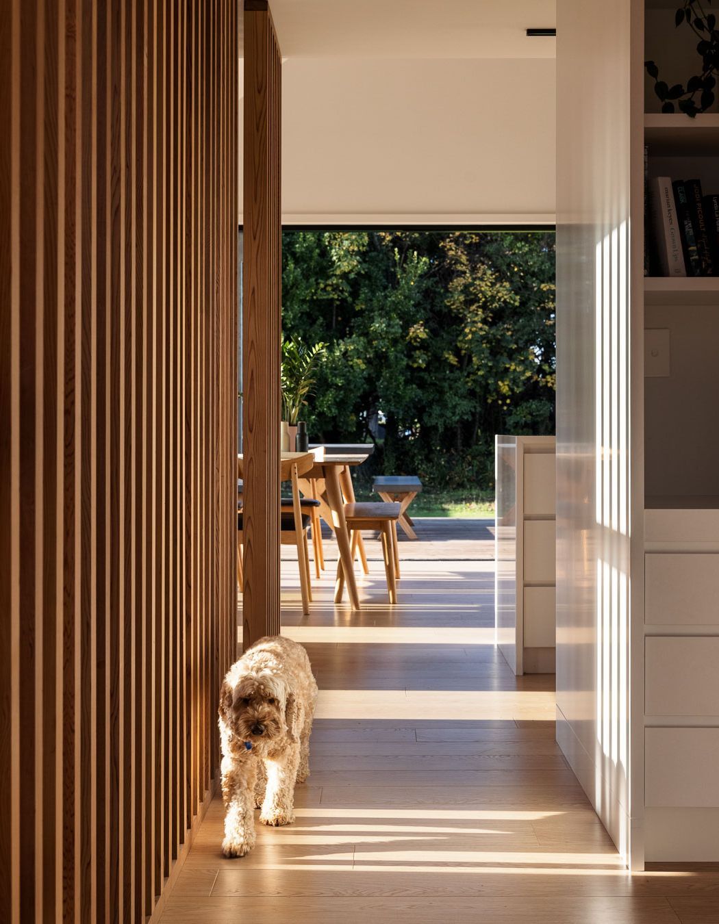 Open sight lines create a sense of seamlessness between the internal and external spaces.