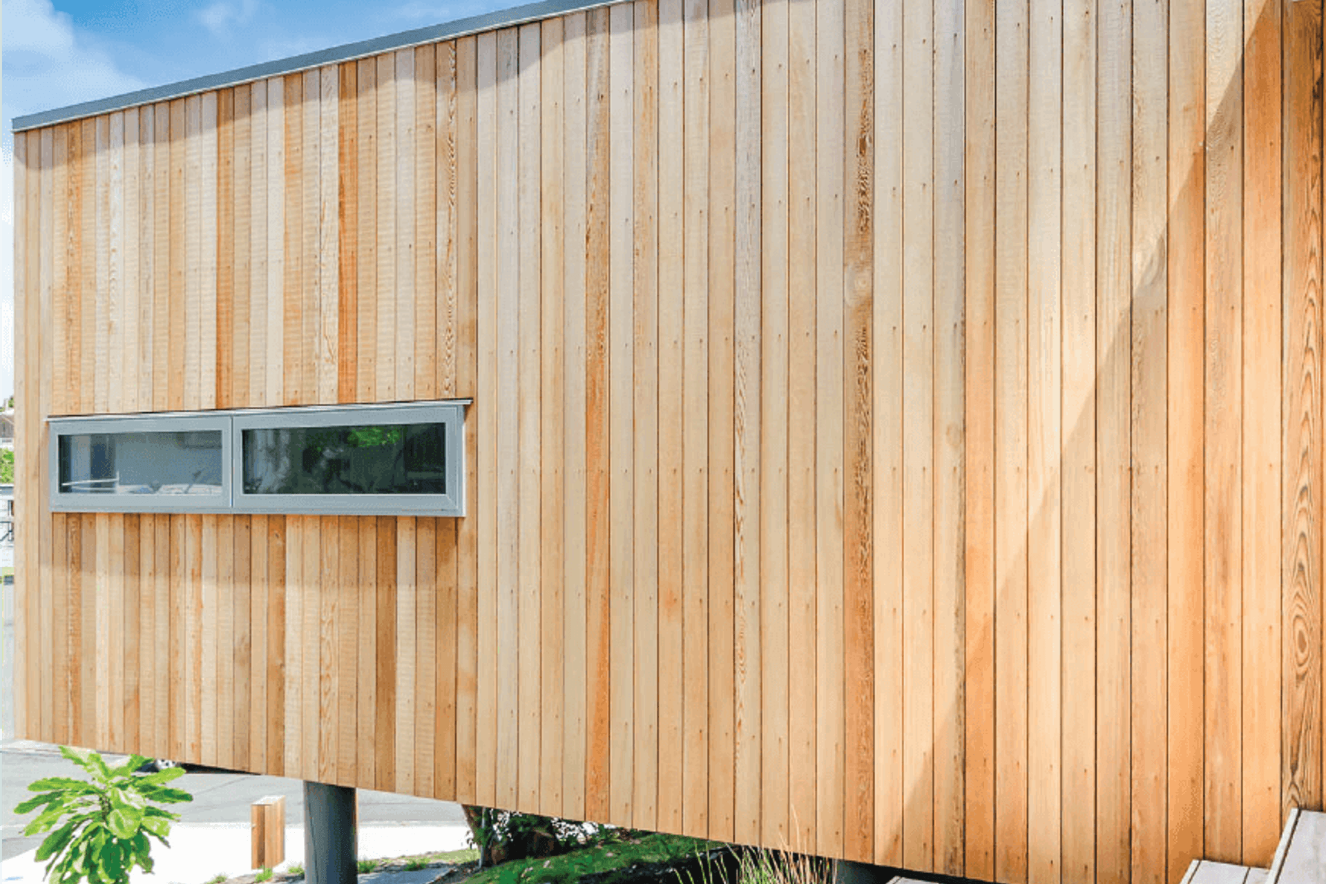 Paraparaumu Tree House