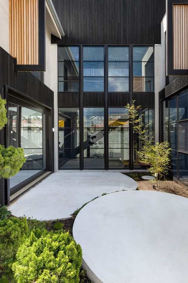 A modern multi-level courtyard framed by dark vertical cladding, pale rendered walls, and extensive black-framed glazing. Curved pale concrete stepping paths weave through manicured low planting, leading to a glazed central entry or circulation space. Timber slat screens add warmth and texture to the upper facade, while reflections reveal additional courtyard-facing spaces.
