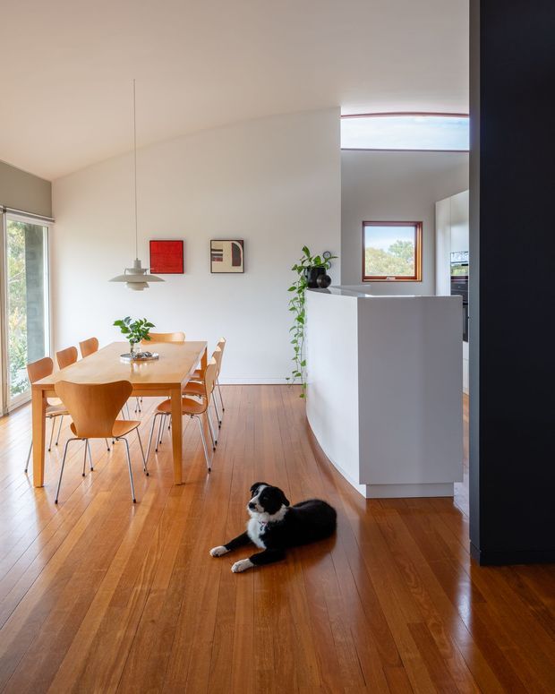 A bright, open-plan contemporary interior combining a dining area and partially visible kitchen. The space features warm timber flooring, a pale neutral palette, a timber dining table with matching sculptural chairs, a white kitchen peninsula, framed artwork, indoor plants, and generous glazing including a high clerestory window. A dog is resting on the floor.