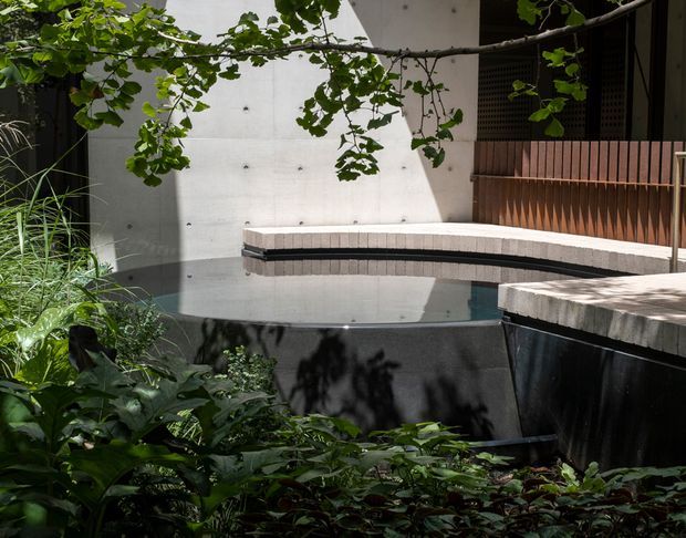 A compact architectural courtyard pool or water feature surrounded by dense tropical planting. The pool has dark rendered sides, pale tiled coping, and a curved edge. Behind it is a smooth light concrete wall with visible form-tie marks, alongside a timber slatted screen and shaded building opening. Dappled sunlight and foliage create a tranquil, enclosed outdoor setting.