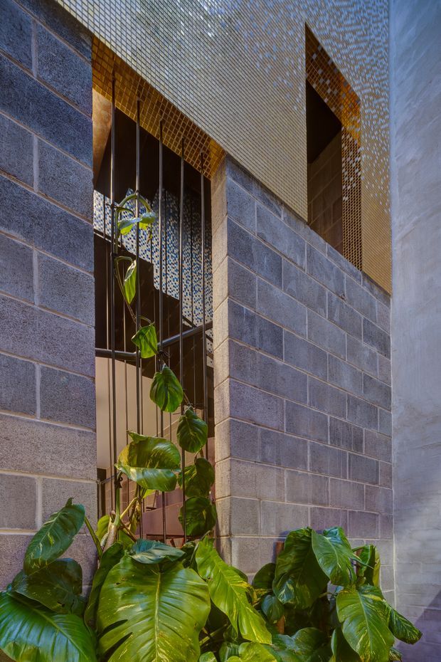 A narrow architectural courtyard or exterior passage framed by dark grey concrete masonry block walls. Tall vertical metal bars protect a slim window opening, while a perforated golden-brown metal screen and patterned tiled surfaces add texture near the upper facade. Large tropical green foliage fills the foreground, with warm sunlight creating strong shadows and highlights. The image emphasizes material detail, screening, and biophilic courtyard design rather than an interior room.