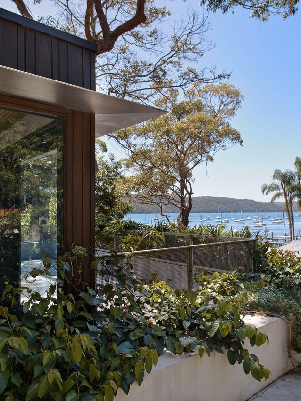 A contemporary timber-clad building edge with a large glazed opening and projecting flat roof canopy, viewed from a planted outdoor terrace. Dense climbing greenery and a mesh balustrade frame a sunny waterfront outlook with boats and wooded hills across the bay.