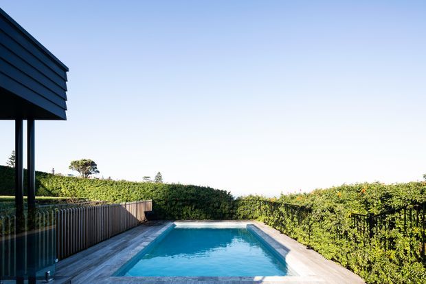 Exterior view of a narrow rectangular swimming pool beside a modern dark-clad structure, with timber decking, glass balustrade, and dense clipped hedges surrounding the outdoor space. The bright open sky and reflective blue water create a clean, relaxed setting.