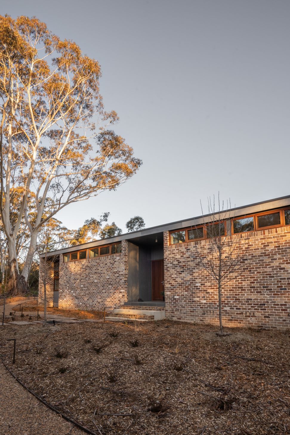 Rear-View-HouseISO-Pyranova04.jpg