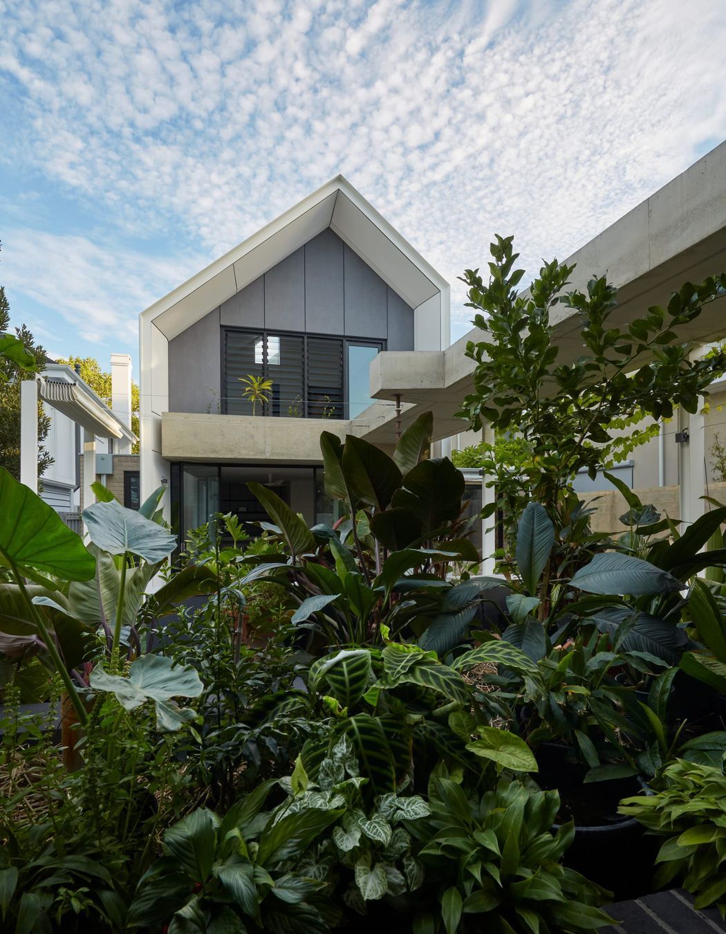 Red Zephyr Blue House