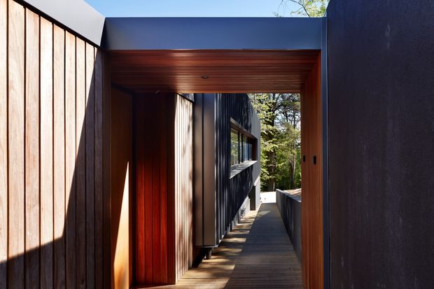 A narrow, modern covered passageway or elevated deck connects dark-clad building volumes. Vertical timber wall cladding and warm timber soffit and decking contrast with charcoal metal or painted wall panels. A glazed opening and surrounding trees are visible at the far end, with strong sunlight and shadow creating a linear, architectural composition.