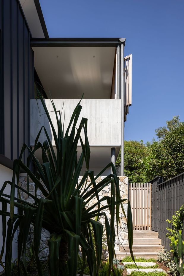 A narrow landscaped approach beside a contemporary multi-level residence. The image shows dark vertical cladding, a projecting concrete balcony or terrace with a smooth soffit, exposed round structural posts, a pale rough stone retaining wall, timber steps and a vertical slatted timber gate. Tall architectural plants frame the path, with bright blue sky and greenery in the background.