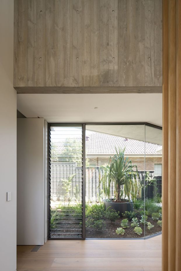 A calm, light-filled interior passage or entry area opening onto a landscaped courtyard. The space features pale timber flooring, a full-height glazed corner with black louvred glazing, warm timber framing, a white ceiling, and a prominent overhead timber-clad soffit or beam. A large indoor planter and succulent garden are visible beyond the glass.