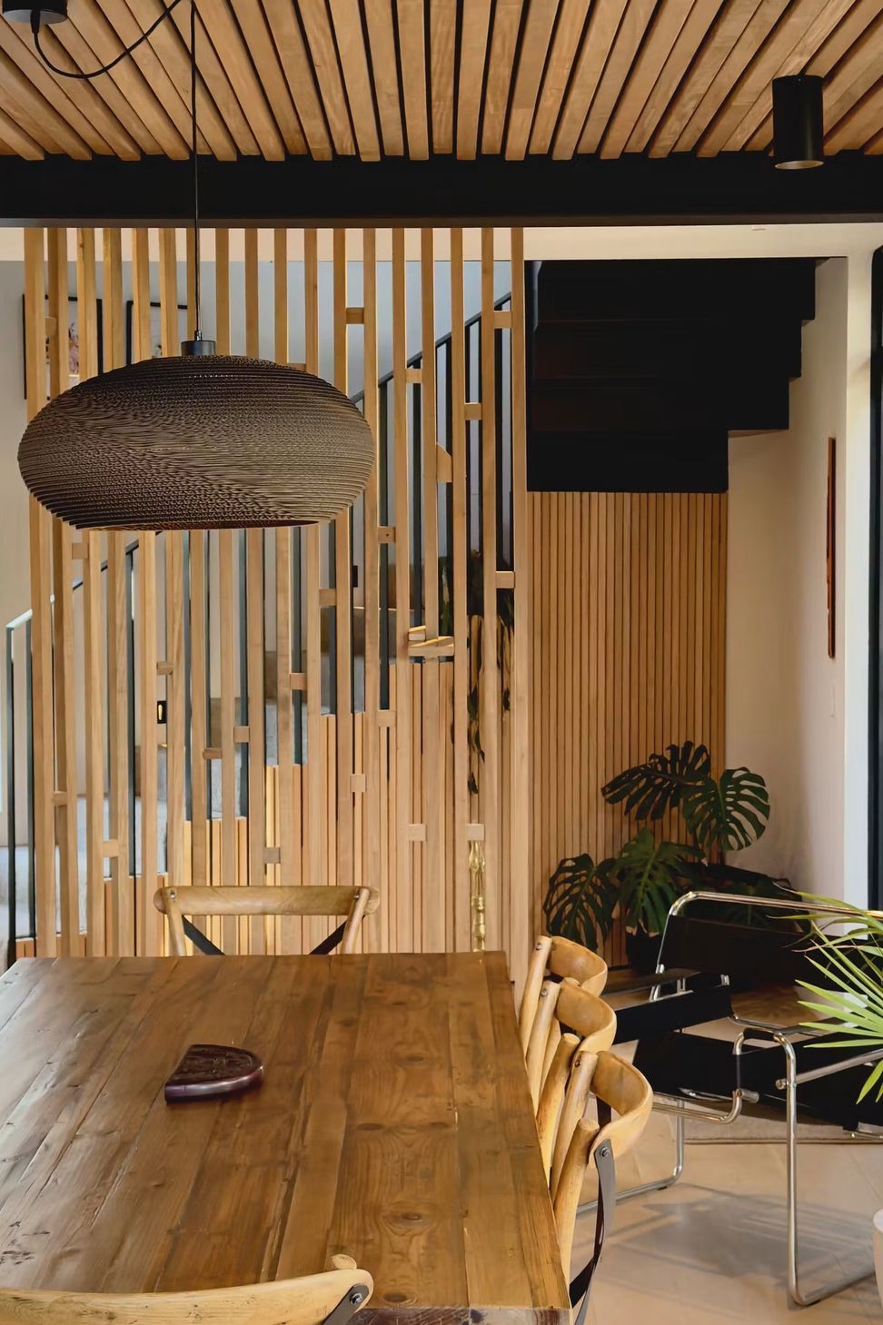 Scout-House-Interior-Cat-6-Image-2-ap-compressed.jpg