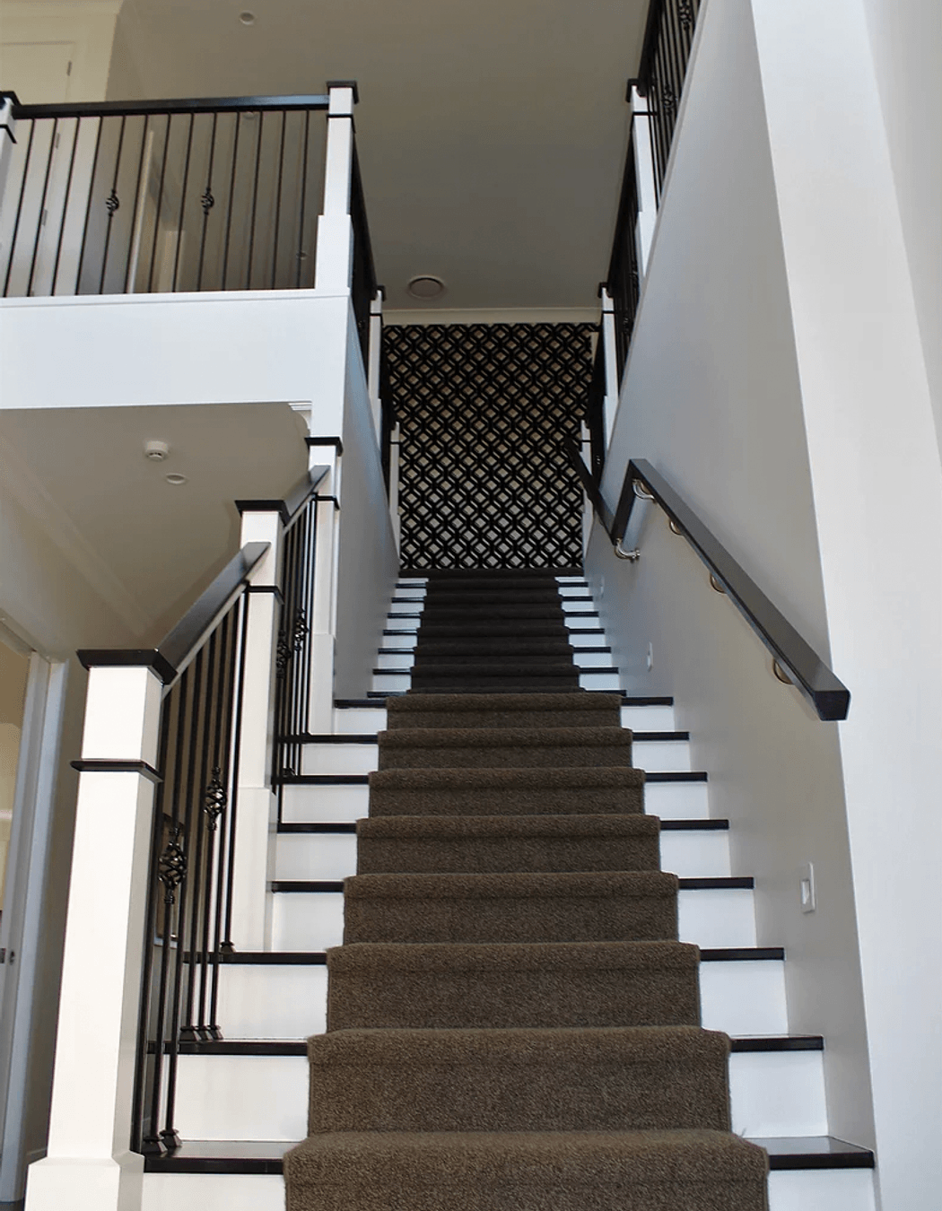 Contemporary Dwelling, Parkvale