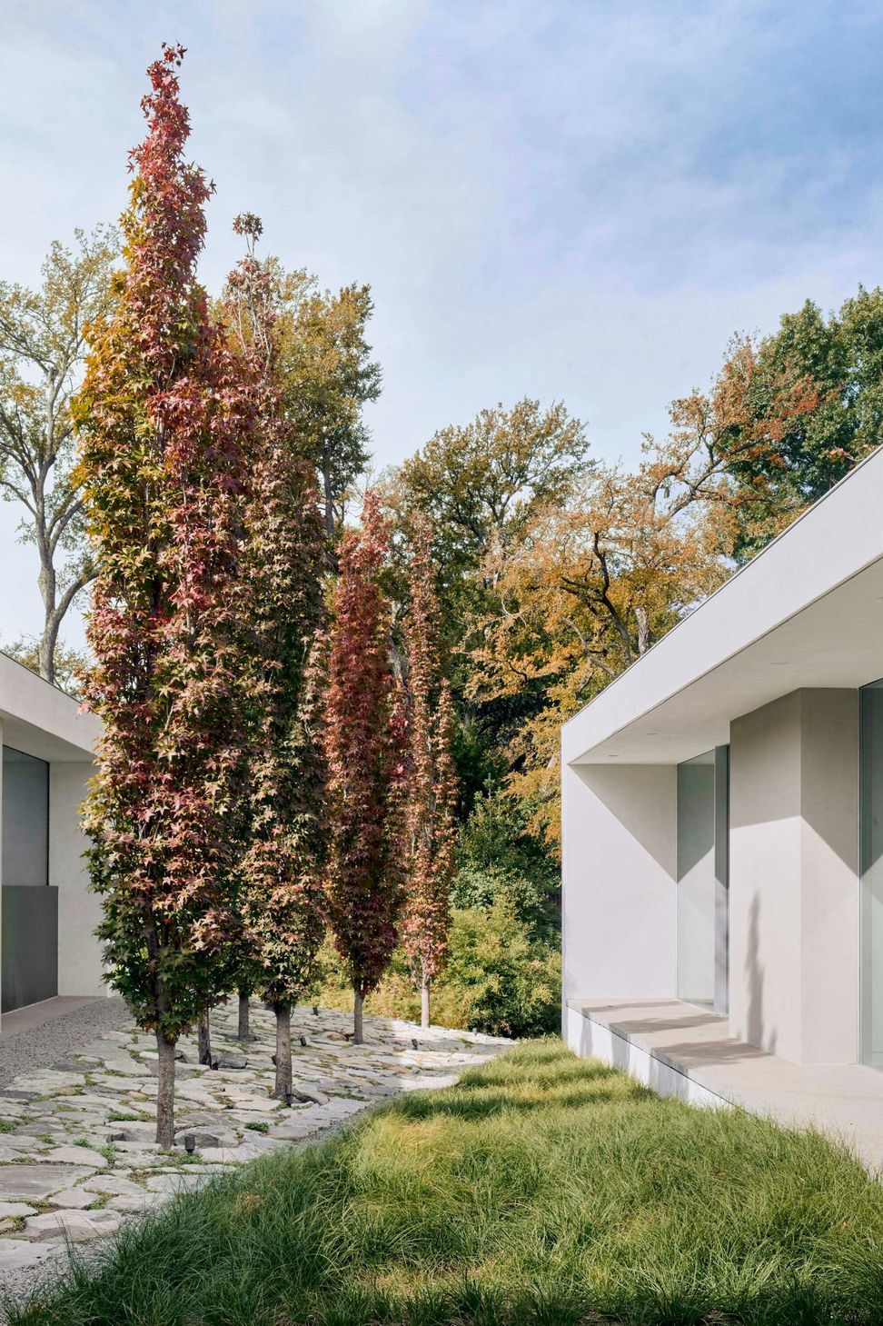 Specht-NovakPreston-Hollow-ResidenceCasey-Dunn01-scaled.jpg