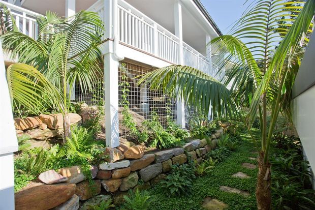 A lush tropical courtyard garden beside a raised contemporary building, featuring tall palms, dense ferns and groundcover, natural stone retaining walls, stepping stones, and white-painted balcony balustrades and structural columns.