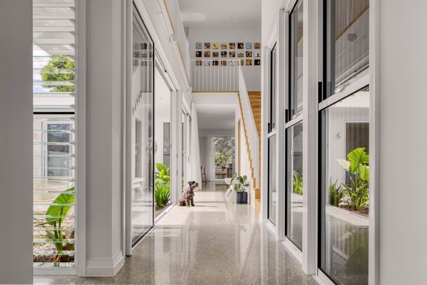 Bright contemporary interior hallway with polished terrazzo flooring, extensive white-framed glazing and internal windows, and a timber staircase leading to an upper landing. Indoor plants and a gallery of framed photographs add warmth to the otherwise crisp white corridor.
