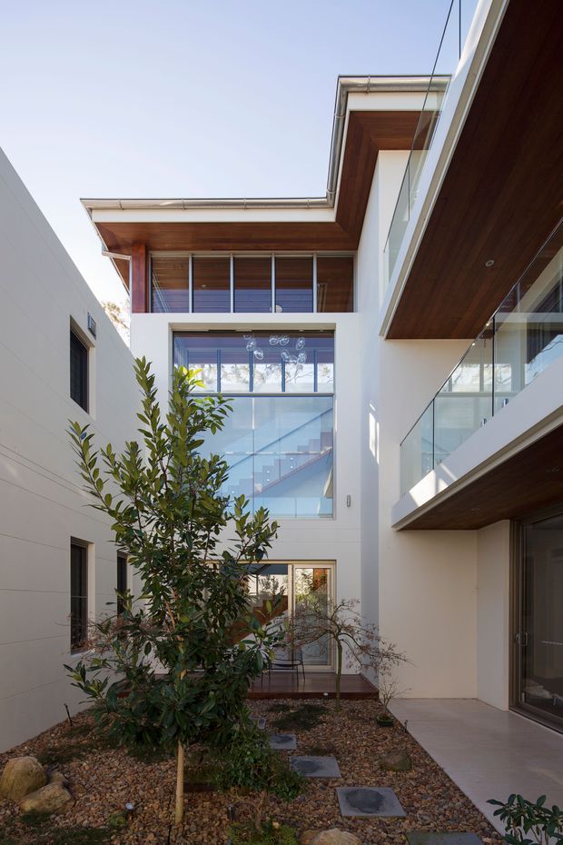 A contemporary multi-level residential courtyard viewed from within the property. White rendered walls frame large glazed openings and balconies, with warm timber-lined soffits and balcony undersides. A central landscaped courtyard contains a young tree, gravel, rocks, and stepping stones. The building features clean geometric forms, extensive glazing, and a visible internal stairway behind the central window.