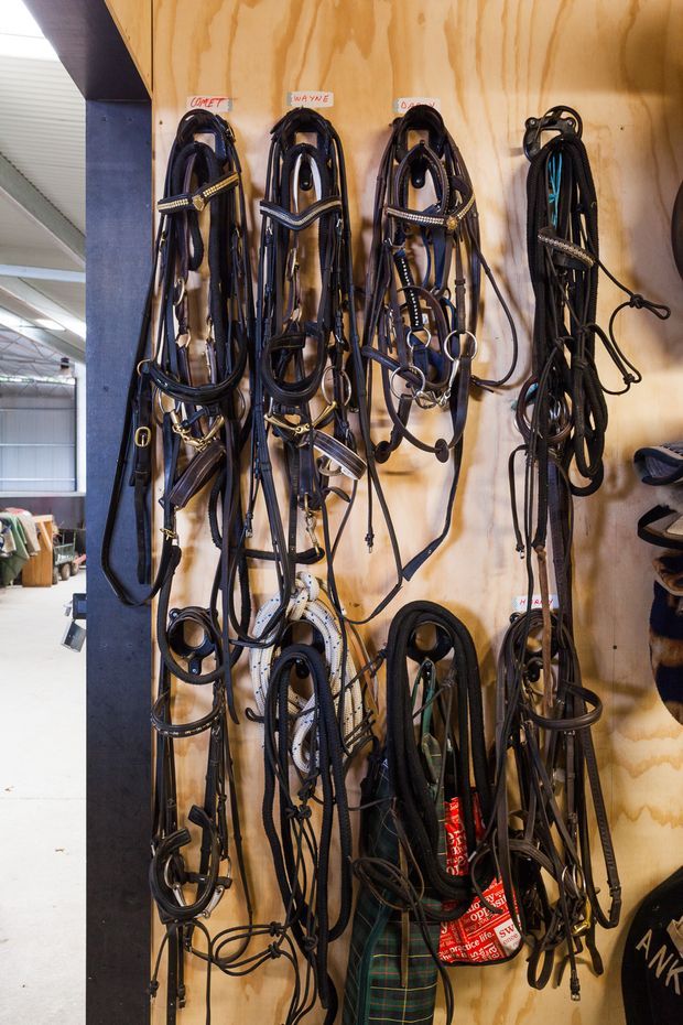 A close-up view of a timber plywood storage wall displaying numerous horse bridles, reins, halters, and other equestrian tack hanging from hooks. The display is located in an utilitarian interior, with part of a larger shed or stable-like space visible at the left edge.