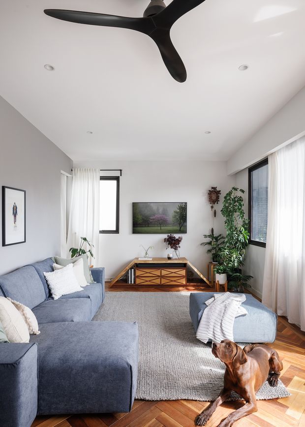 Bright, comfortably furnished living room with a large blue sectional sofa, textured neutral rug, timber herringbone flooring, mid-century-style timber media console, indoor plants, framed artwork, and a wall-mounted television. Large windows with sheer curtains provide abundant natural light, while a sculptural black ceiling fan is a prominent feature.