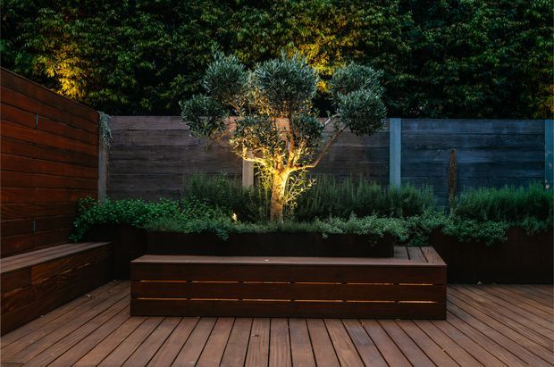 A moody landscaped outdoor courtyard or terrace at dusk, featuring a warm timber deck, built-in timber bench seating, raised planter boxes, a sculptural olive tree illuminated from below, and dark horizontal timber privacy fencing.