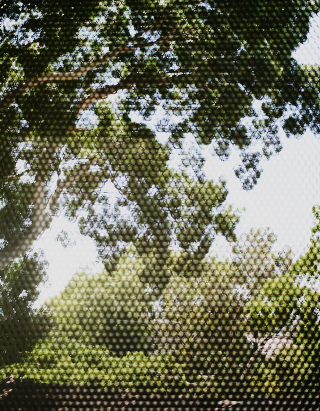 Photography: Brett Boardman, Noel Mclaughlin