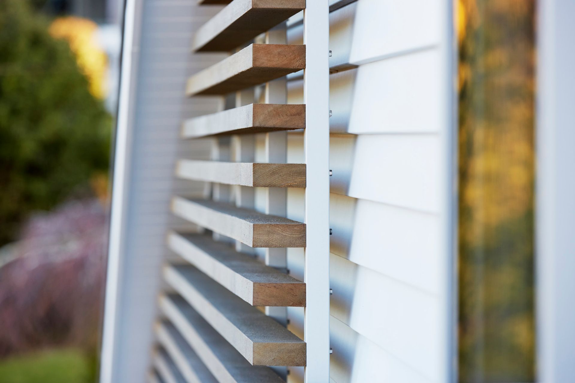 Honouring the Avenues