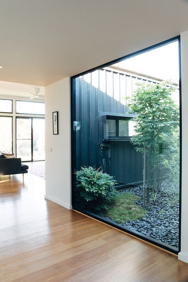 Bright contemporary interior hallway or circulation space with warm timber flooring, white walls, and a large black-framed floor-to-ceiling glazed opening overlooking a compact planted courtyard. A living room with sofa and expansive glazing is visible to the left. The courtyard features dark vertical cladding, a projecting window, pebble landscaping, shrubs, and a small tree, creating a strong indoor–outdoor connection.