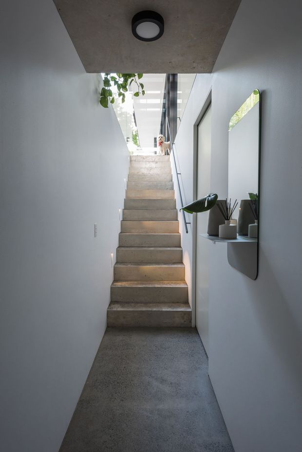 A narrow, minimalist interior stairway rises toward a bright glazed landing. The stair treads and lower floor are raw-looking concrete, with smooth pale walls, a concrete ceiling plane, a black circular ceiling light, and a slim dark handrail. A curved-edge wall mirror and small floating shelf with potted plants add detail along the right wall, while hanging greenery is visible near the upper landing.