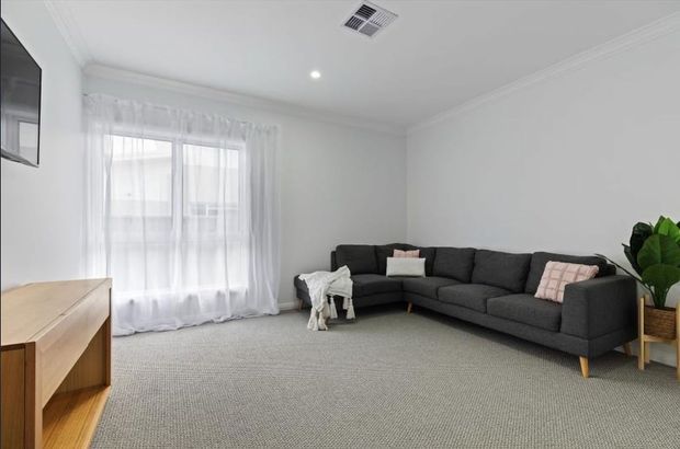 Bright, minimalist living room with a large dark grey sectional sofa, pale textured carpet, white walls and ceiling, sheer floor-to-ceiling curtains, and light timber media cabinetry. A potted plant and soft cushions add restrained natural accents.