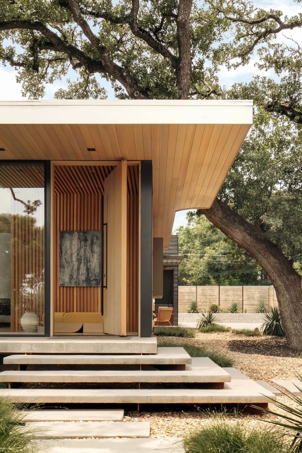 imgi43Coxist-LiveOaks7.jpg