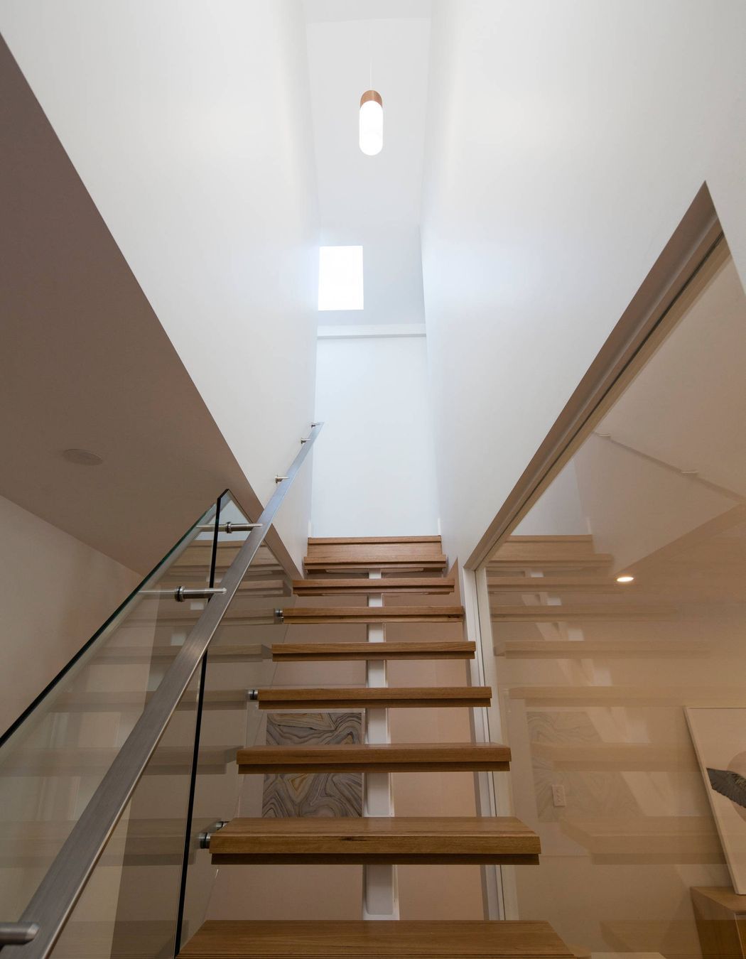 Luxury Contemporary / Leichhardt