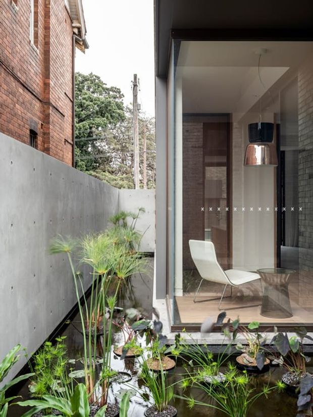 A narrow landscaped courtyard beside a contemporary brick-and-concrete building, featuring a shallow pond with aquatic plants and grasses. Floor-to-ceiling glazing reveals a refined interior with a white lounge chair, small side table, pendant lights, dark framing, and brick feature walls. The composition highlights the relationship between the planted water garden and the glazed interior.