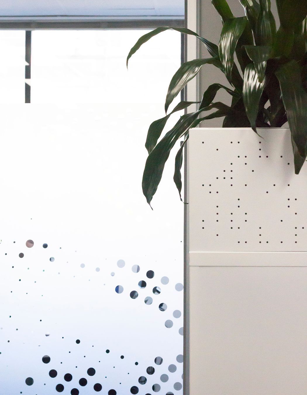 Optometry Australia HQ