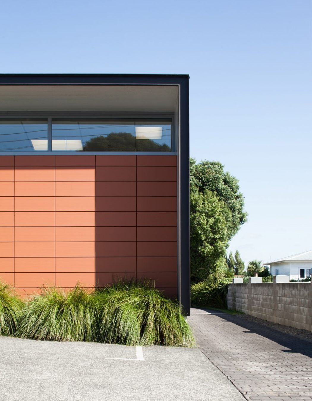 Surgery On Shakespeare