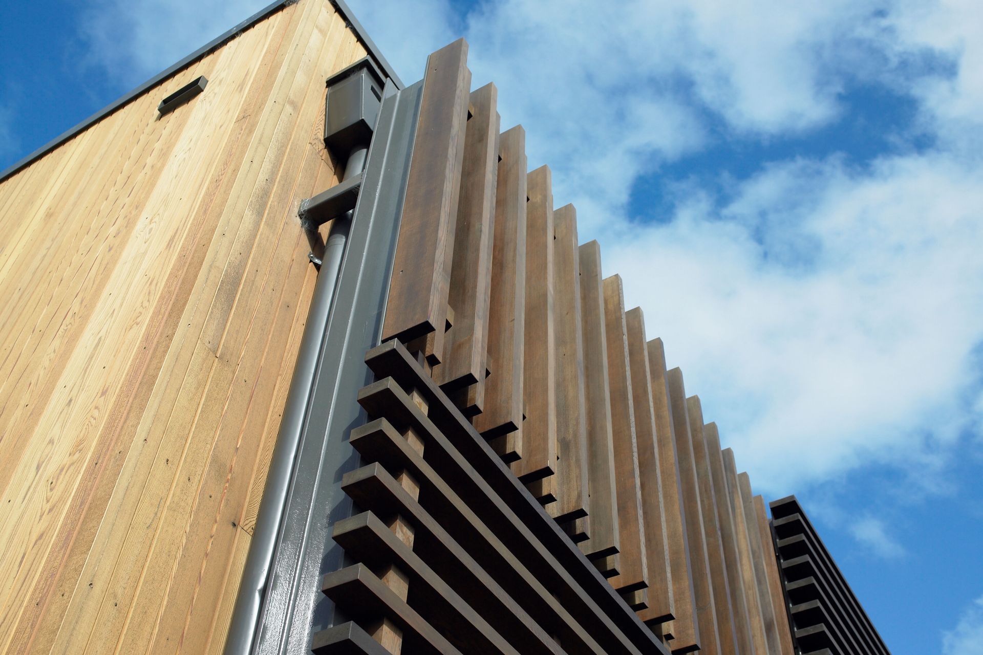 The Cancer Society's Lions Lodge