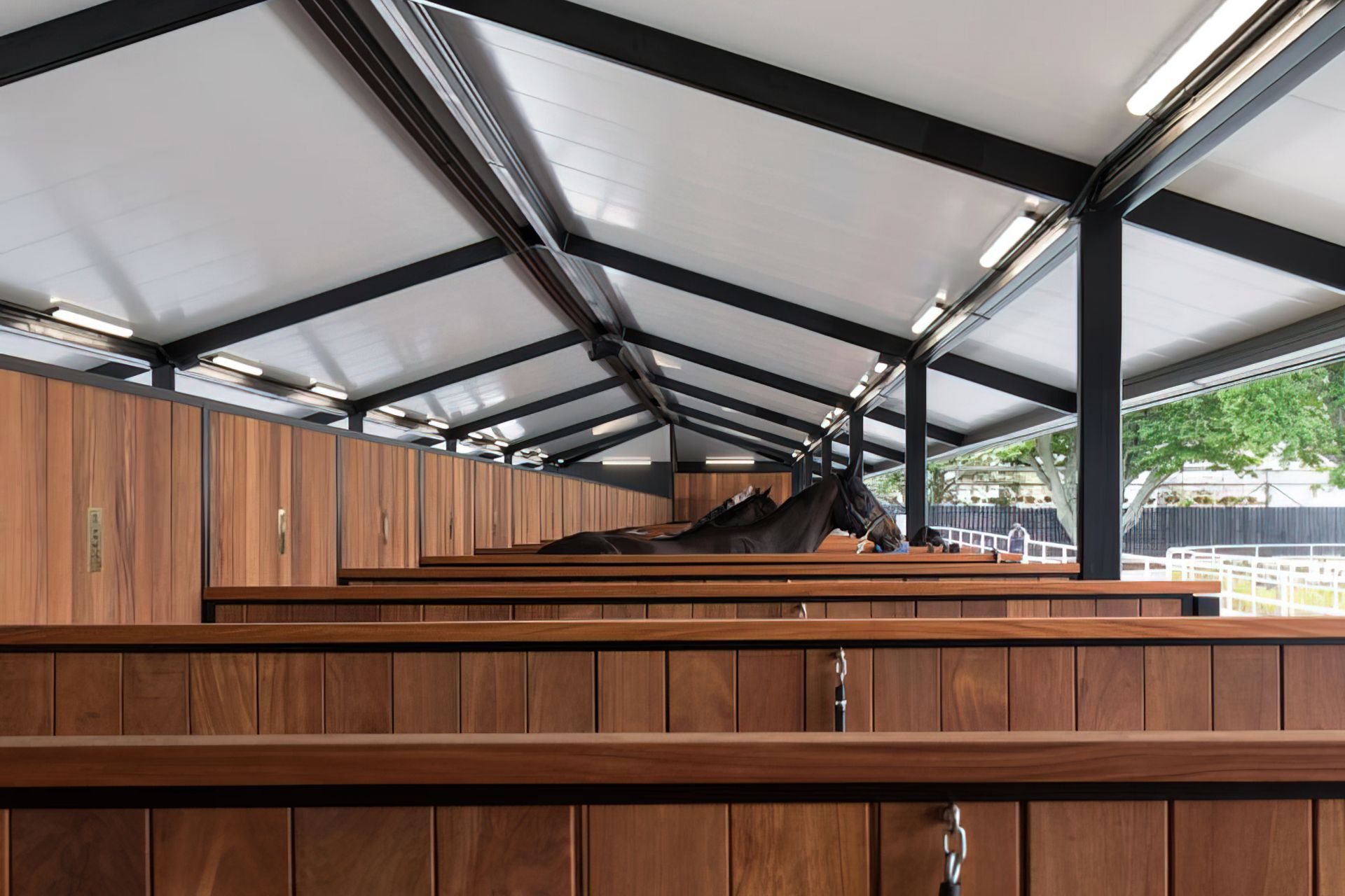 Ellerslie Racecourse