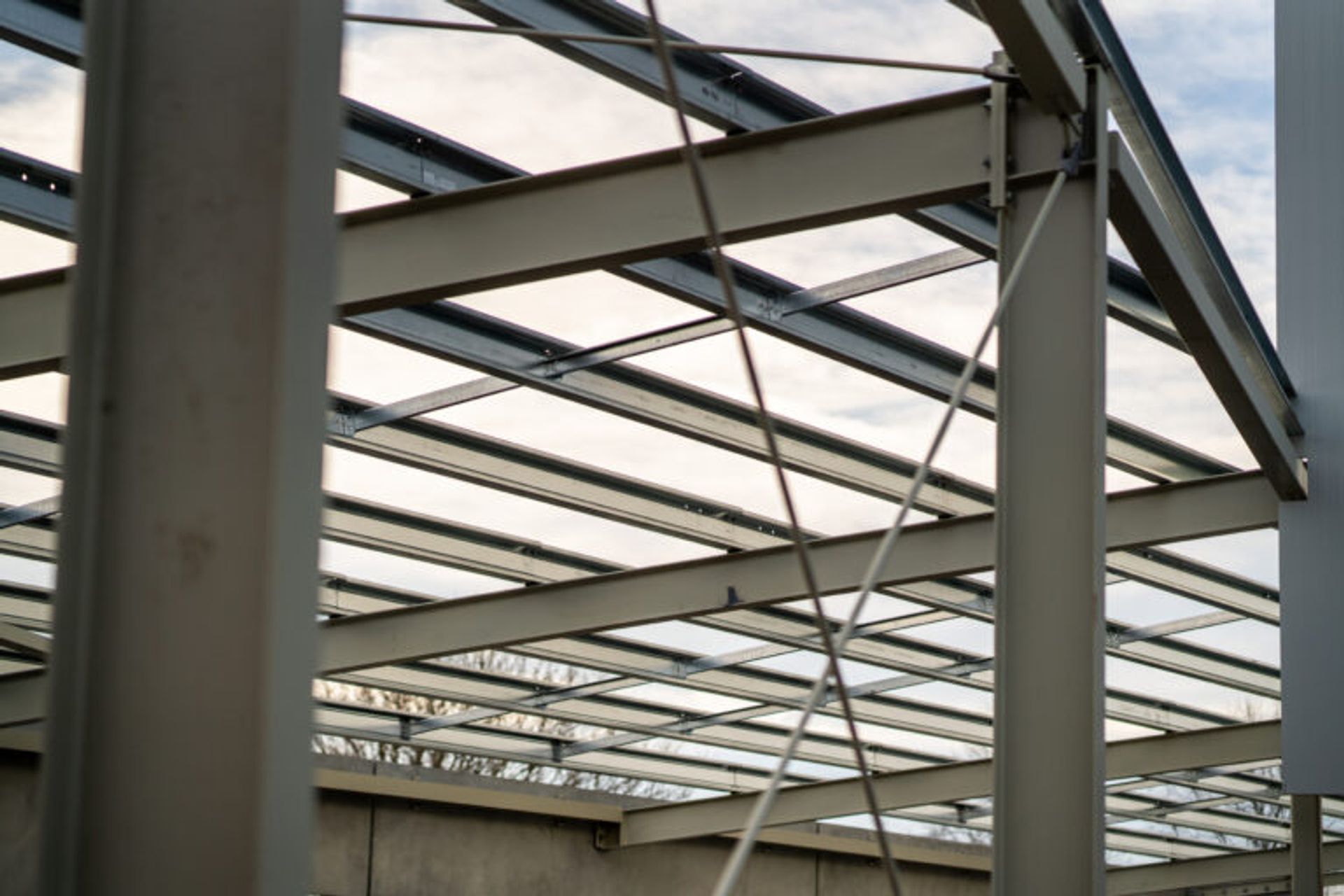 Pettigrew Green Arena