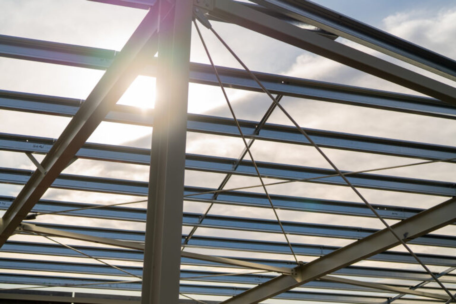 Pettigrew Green Arena