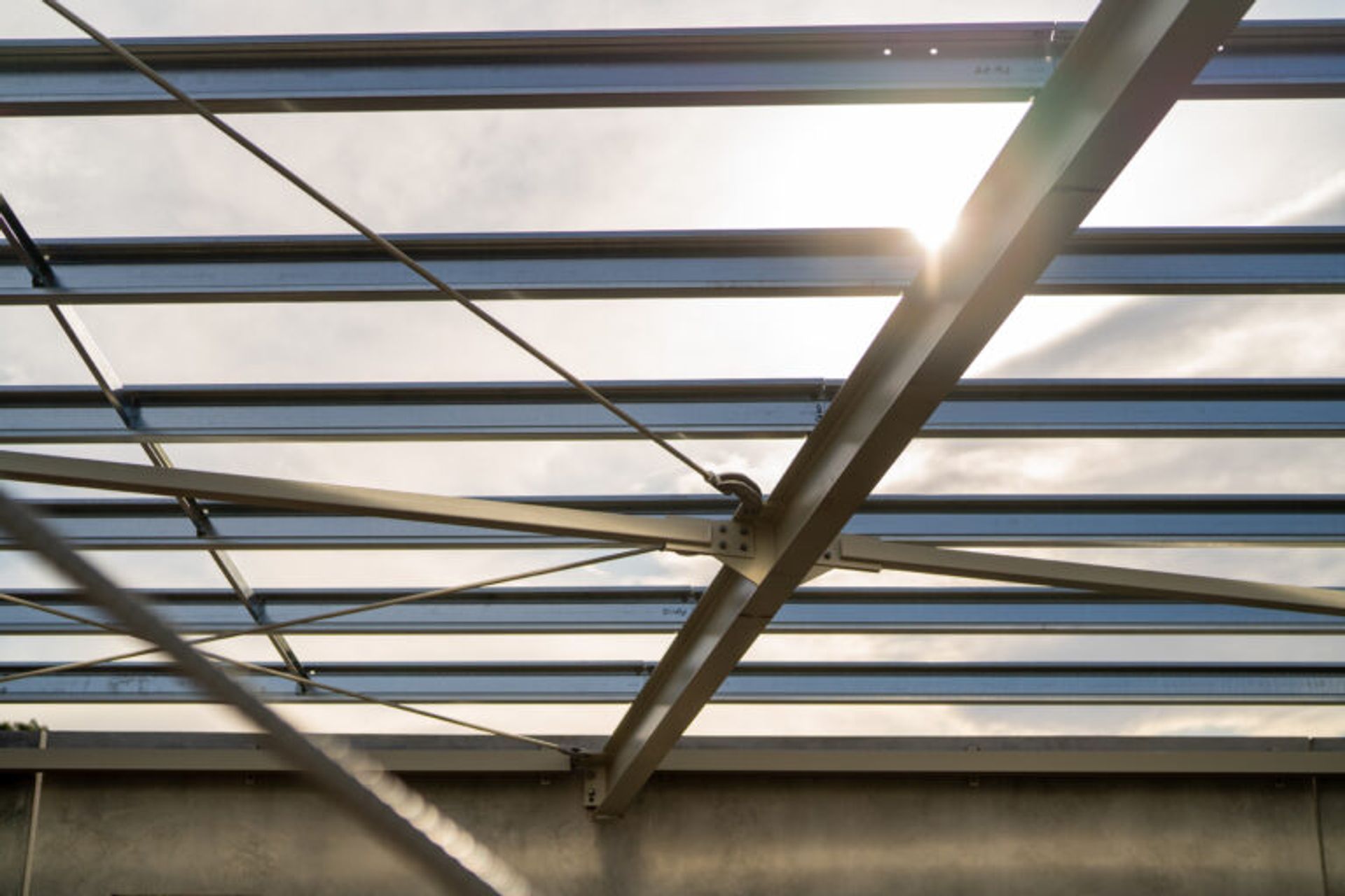 Pettigrew Green Arena