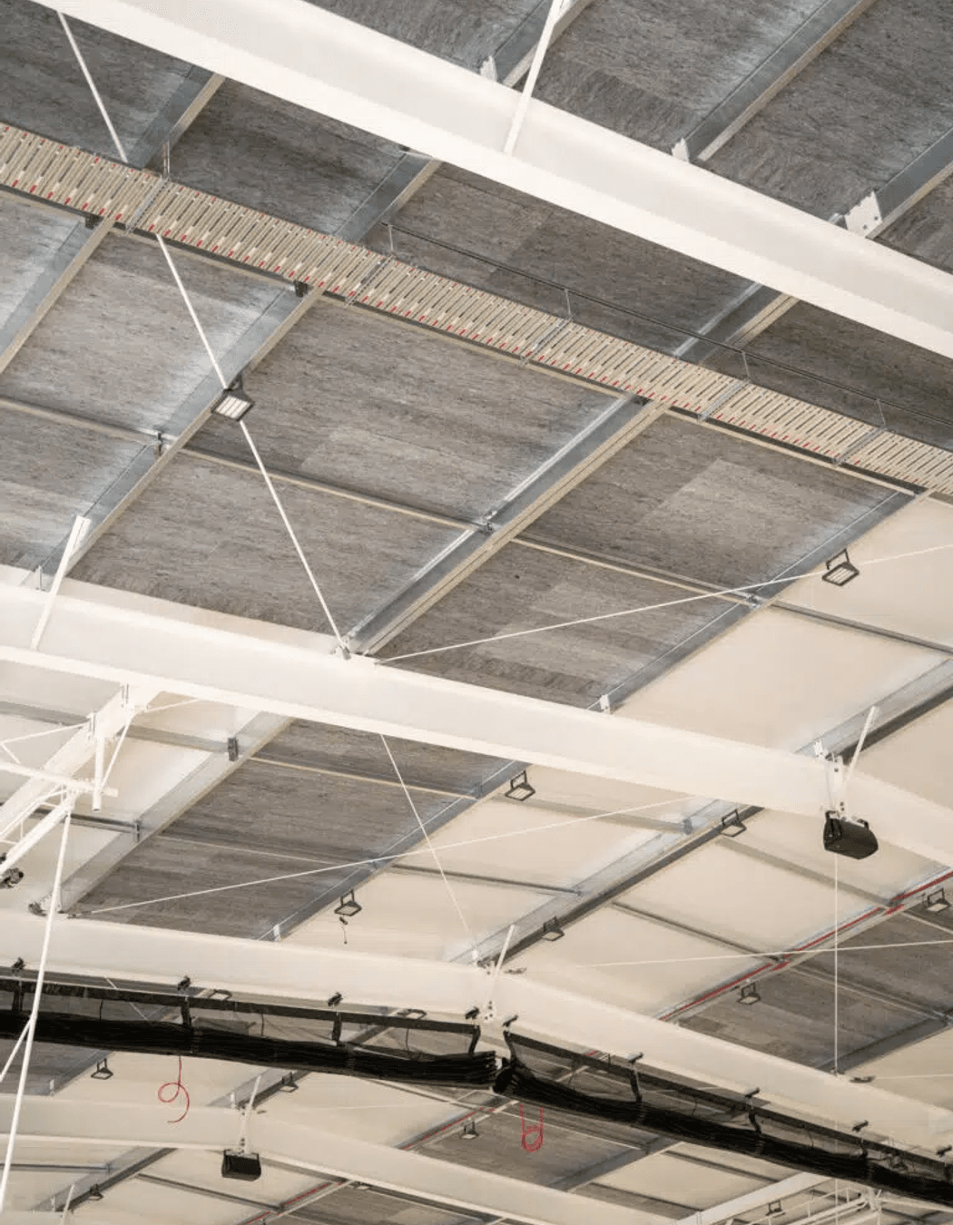 Pettigrew Green Arena