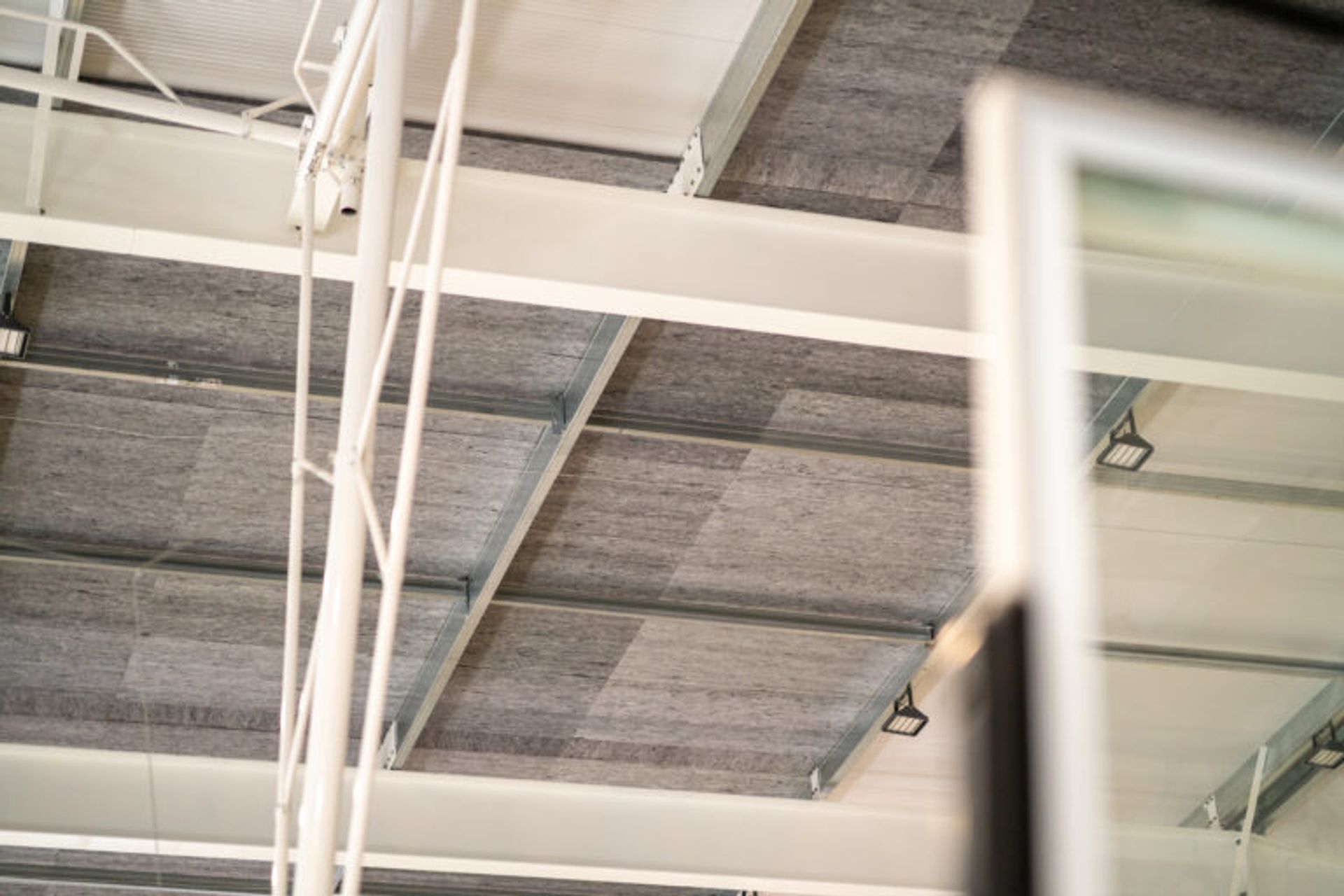 Pettigrew Green Arena