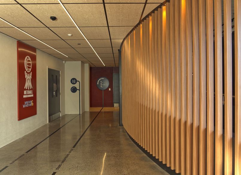 Netball North Harbour