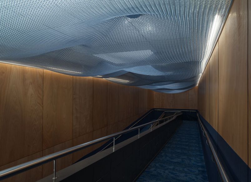 Netball North Harbour