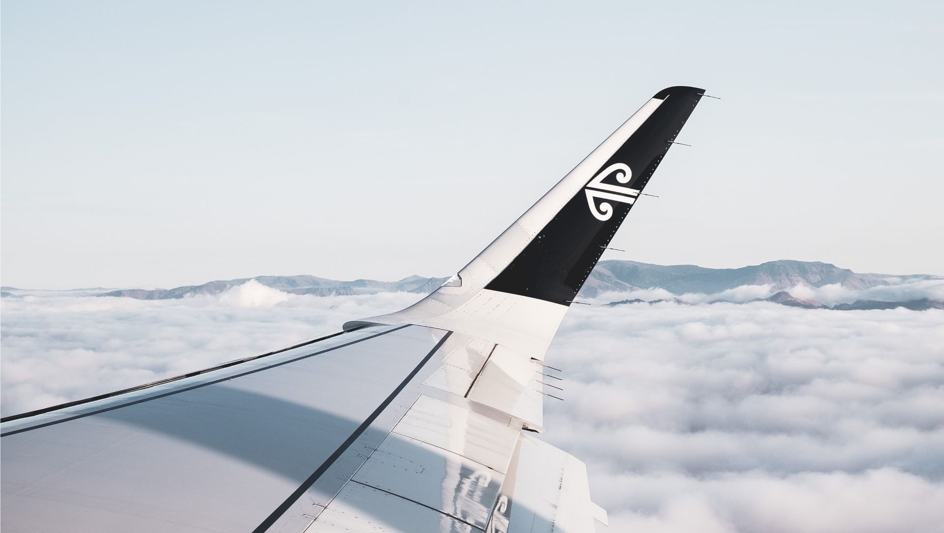 Air New Zealand banner