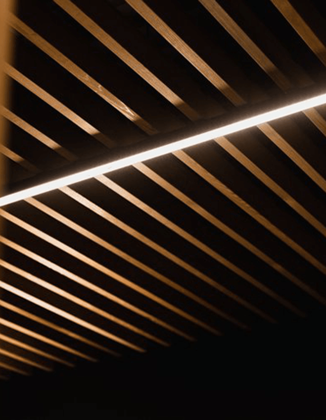 Flex Fitness | Auckland