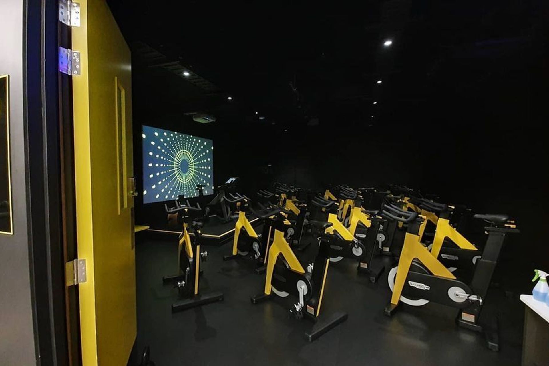 AllFit Takapuna