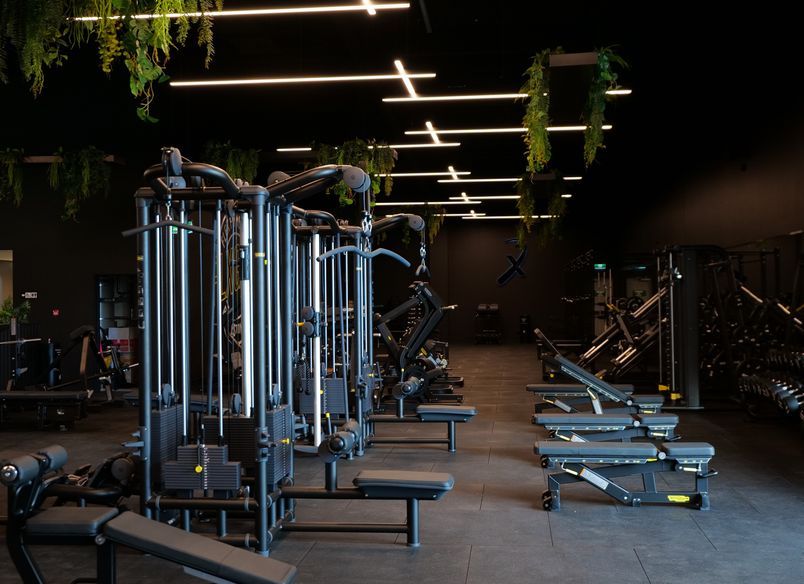 Flex Fitness Rolleston Fields