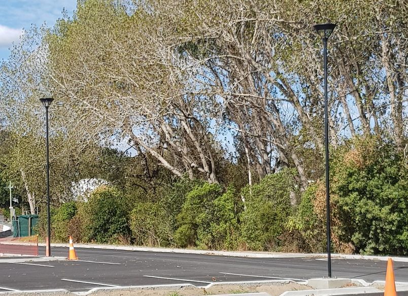 Western Springs College Carpark Lighting