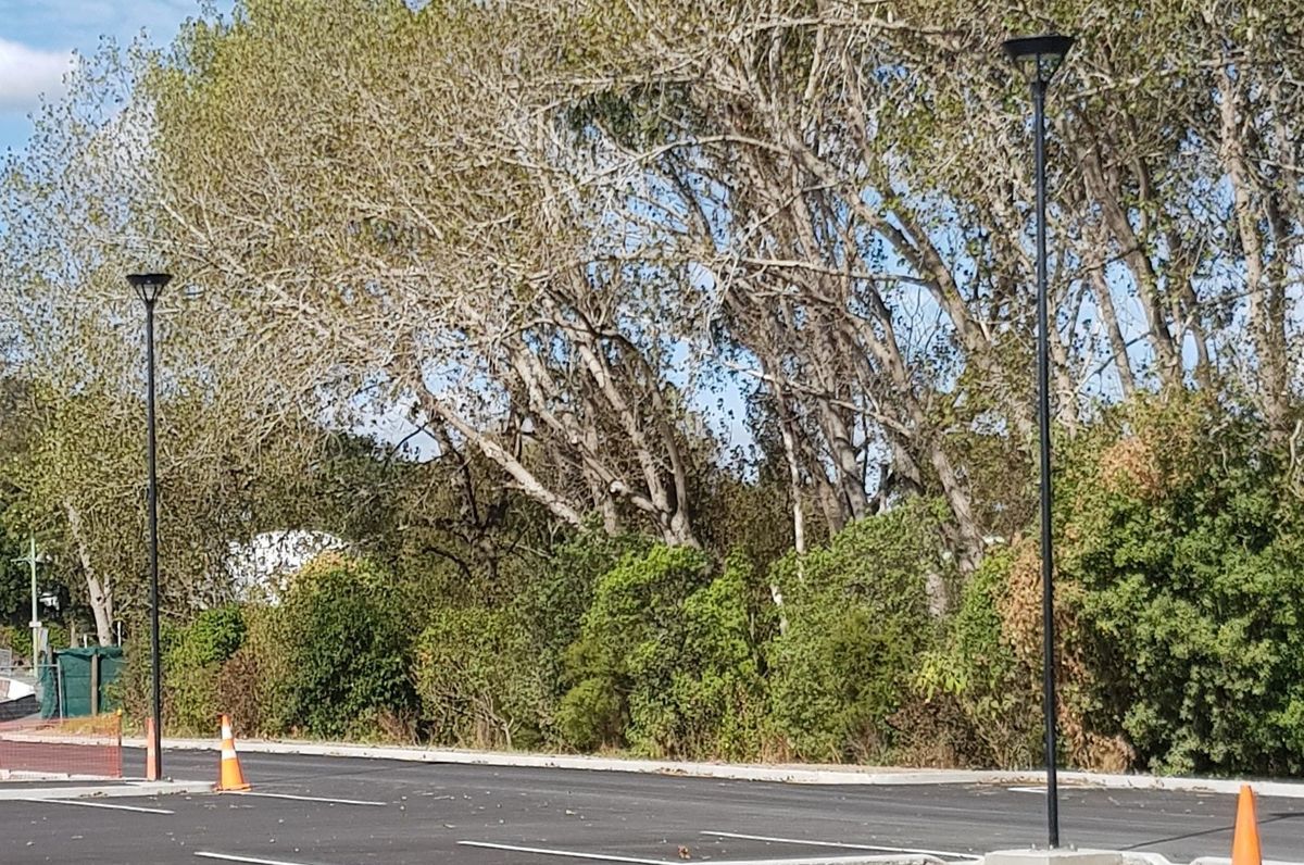 Western Springs College Carpark Lighting
