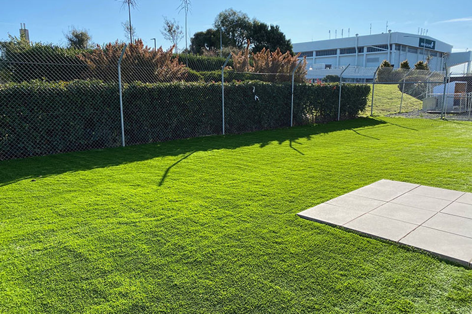 Airport Security Dog Run